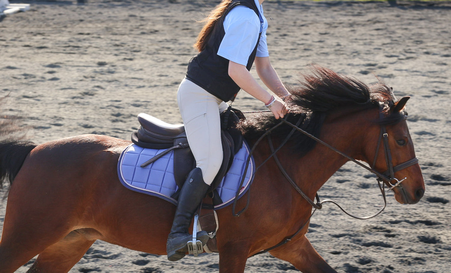 Blue Polo Shirt