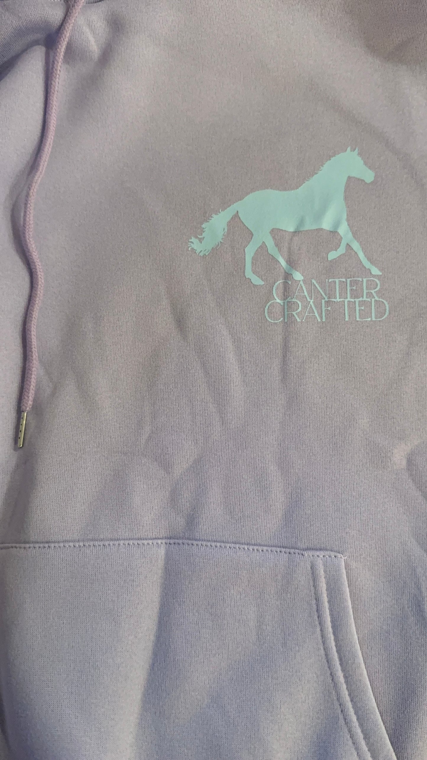 “POWERED BY PONIES” hoodie