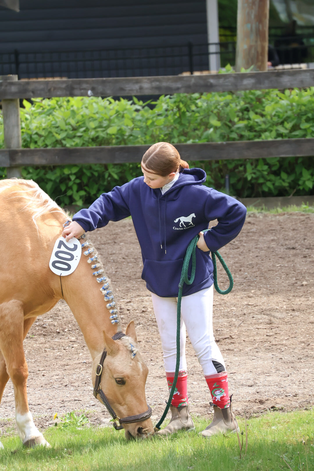 Young Rider Hoodie