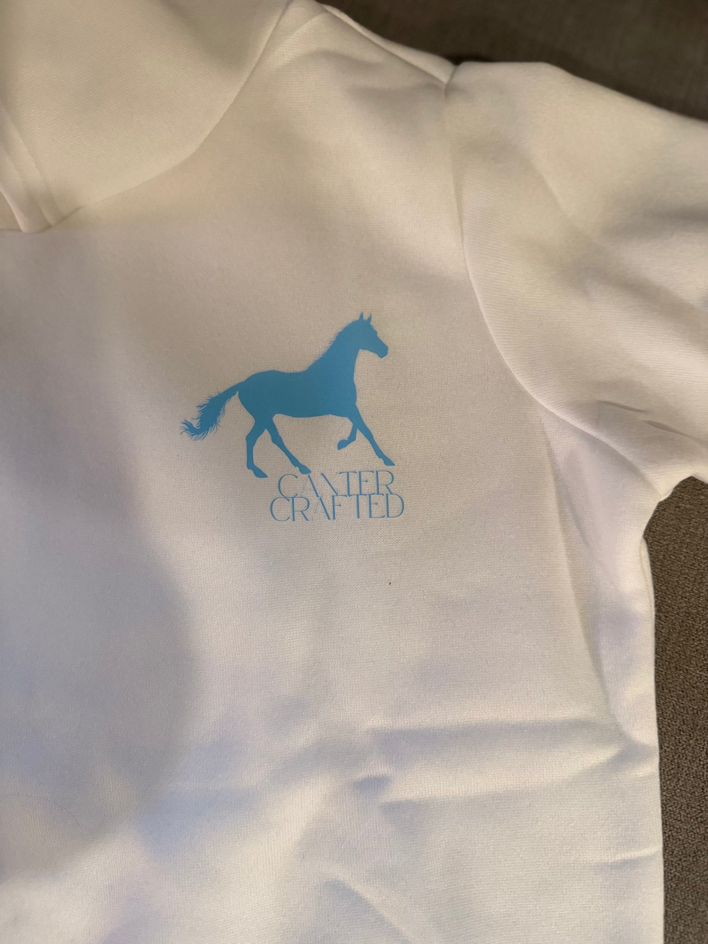 “POWERED BY PONIES” young rider hoodie