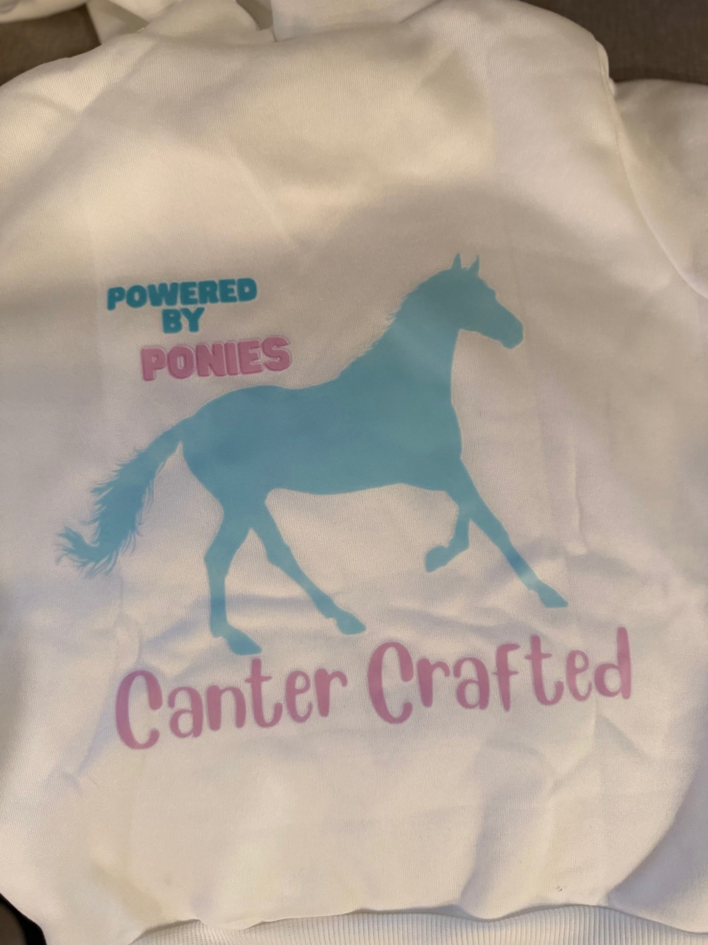 “POWERED BY PONIES” young rider hoodie