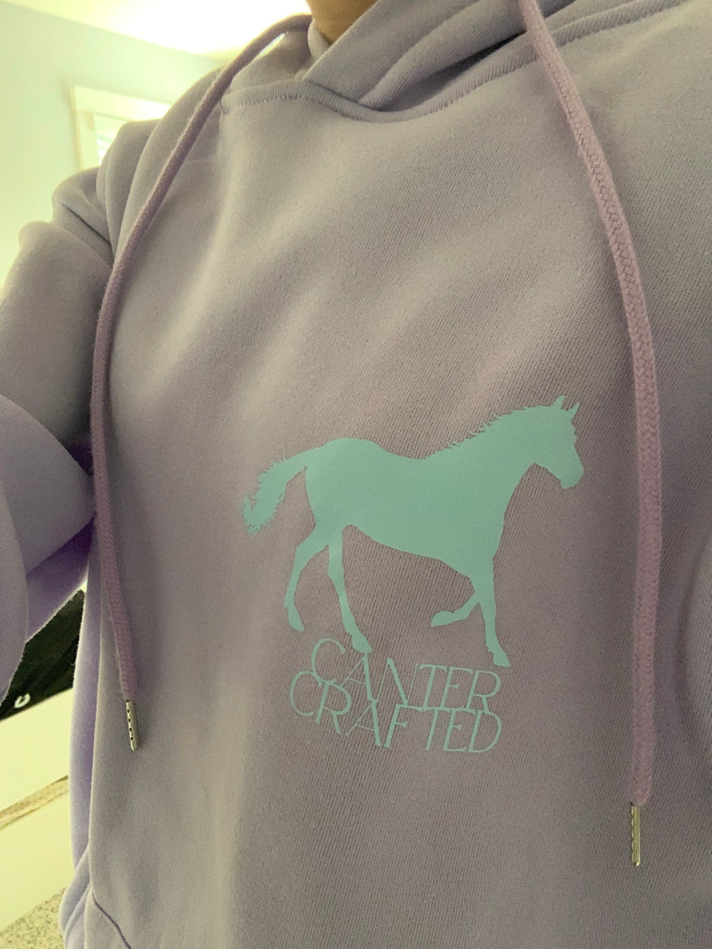 “POWERED BY PONIES” hoodie