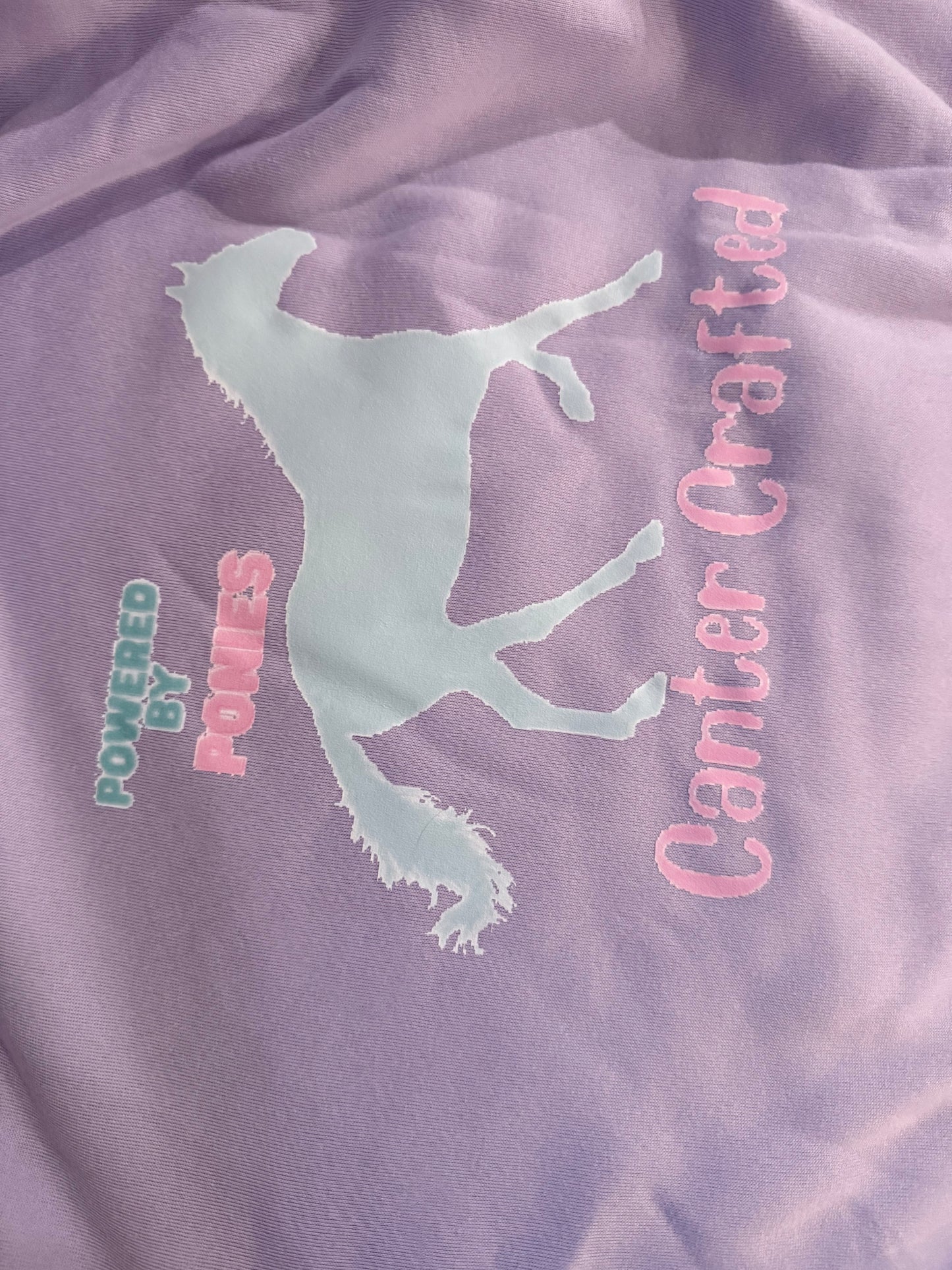 “POWERED BY PONIES” hoodie