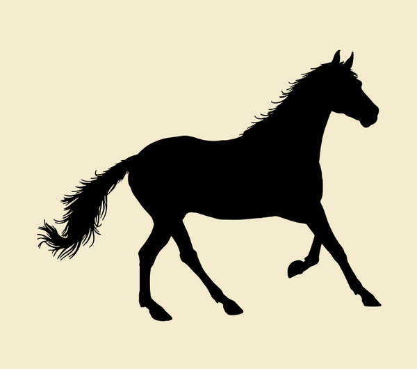 Canter Crafted